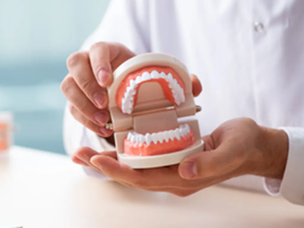 入歯(義歯)-美松デンタルオフィス