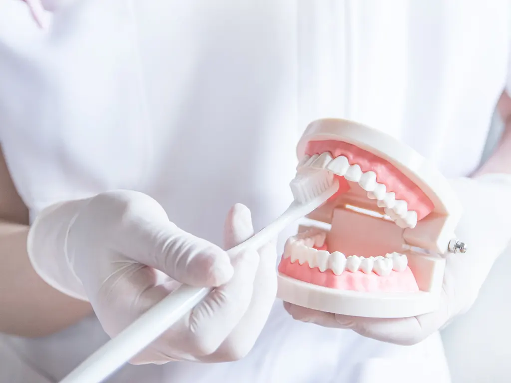 予防歯科-美松デンタルオフィス